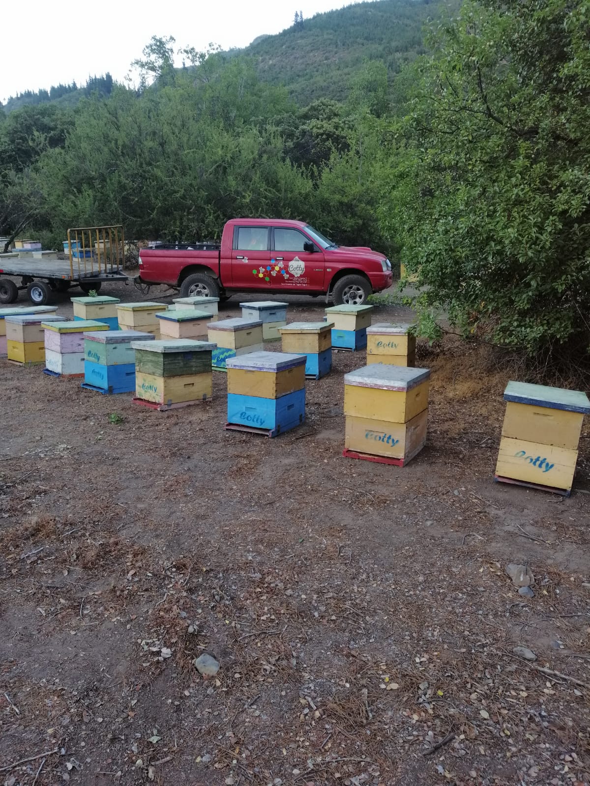 Camioneta Cotty junto a las colmenas en el cerro